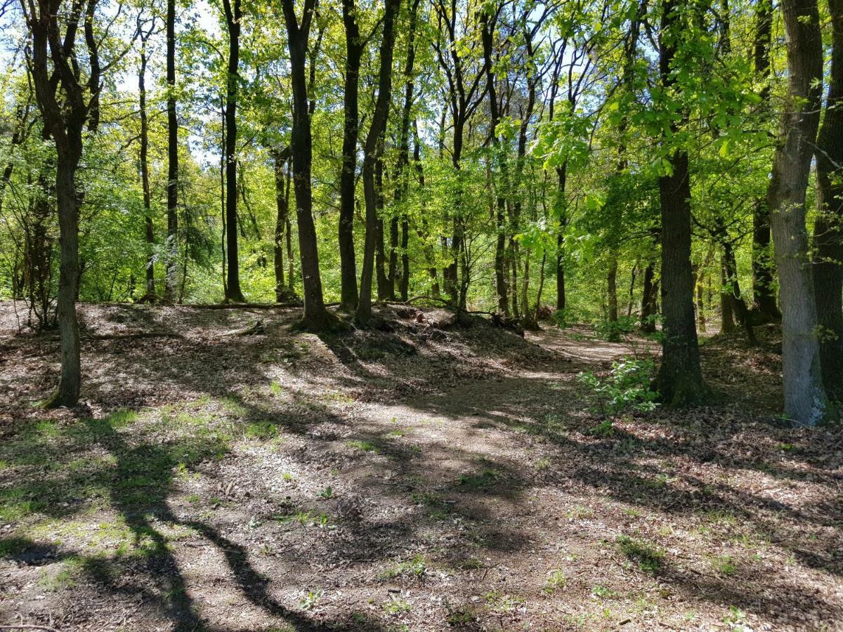 Knusse Bungalow Otterlo Veluwe Экстерьер фото